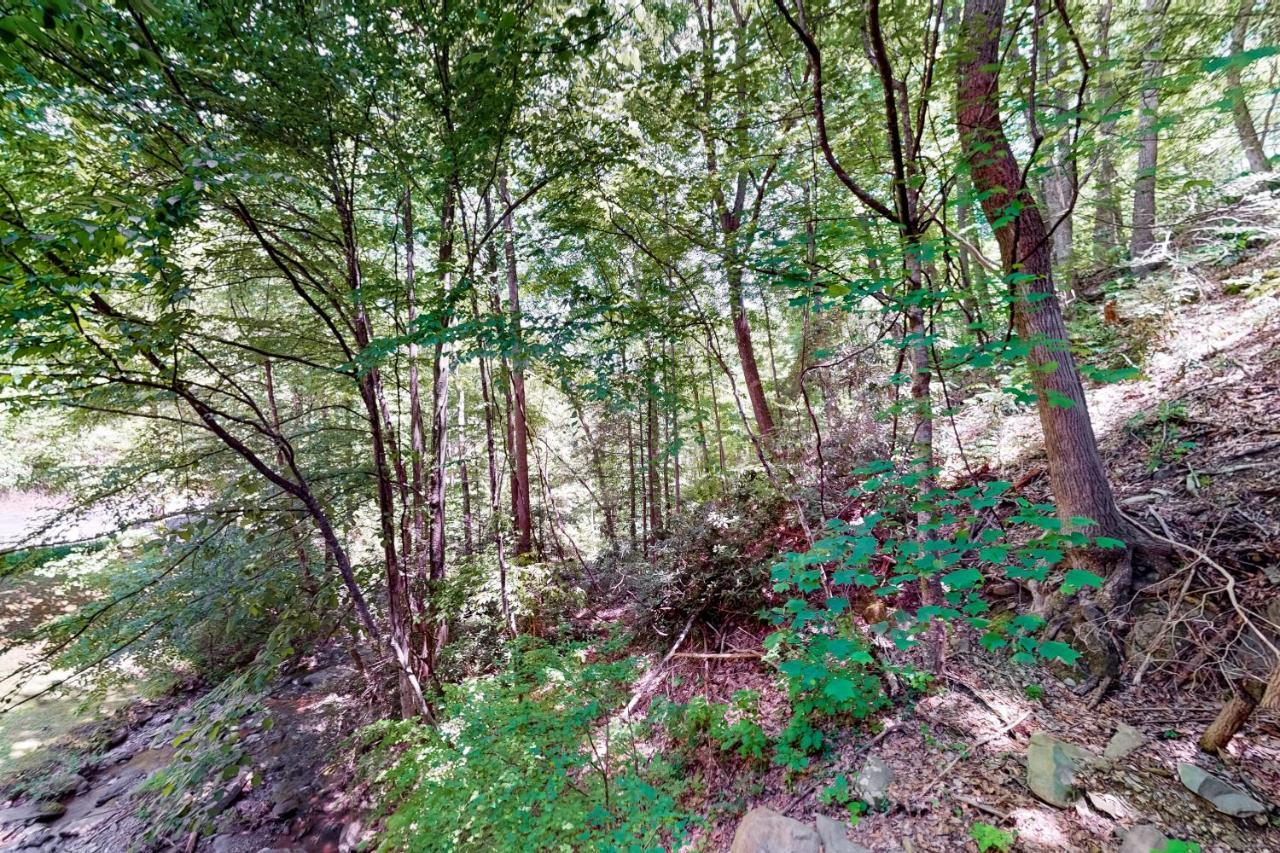 Hiker'S Hideaway Villa Gatlinburg Camera foto